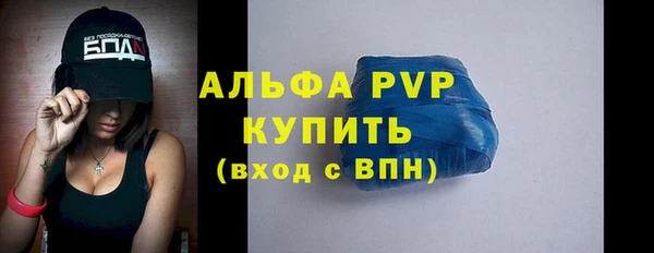 стаф Белокуриха
