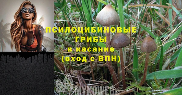 прущая мука Баксан