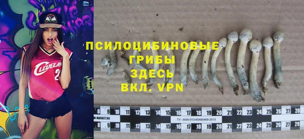 прущая мука Баксан